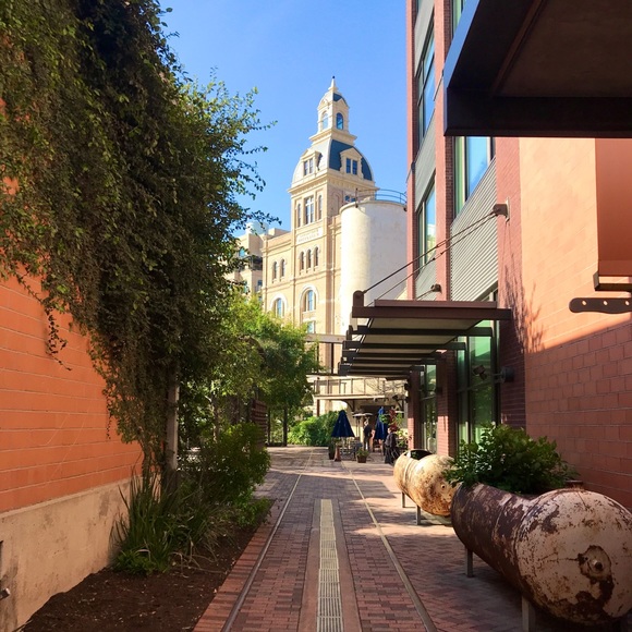 Meet Your Posh Ambassador, Amanda - Picture 7 of 9